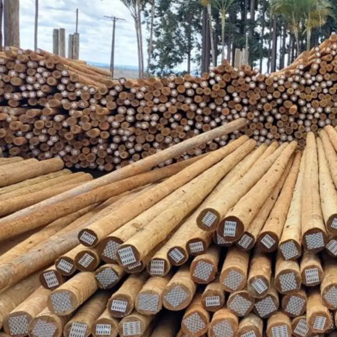 Cerca rural feita com estacas de madeira